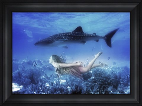 Framed Swim with Tiger Shark Print