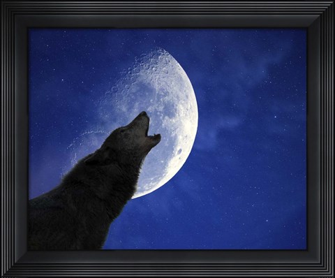 Framed Wolf Night Print
