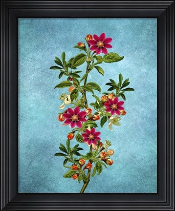 Framed Color Leaves 2 Print