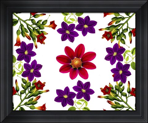 Framed Floral Design E Print
