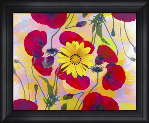 Framed Floral Design H Print