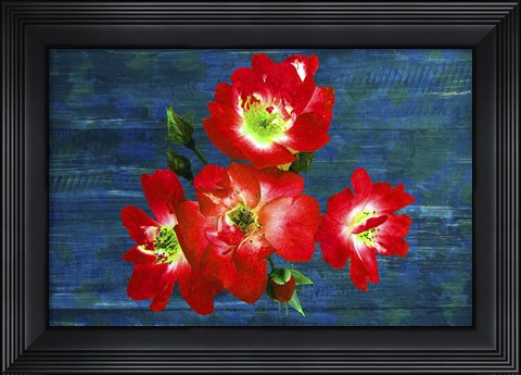 Framed Floral Design J Print