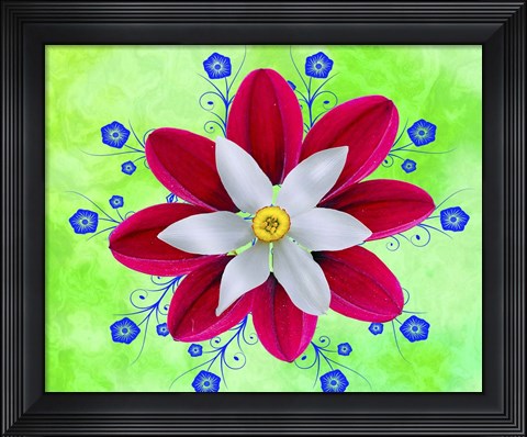 Framed Floral Design P Print