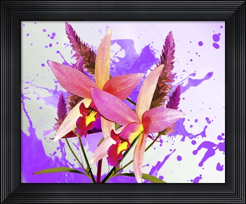 Framed Floral Design V Print