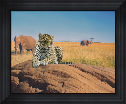 Framed Leopard Print