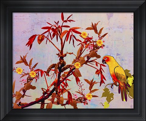 Framed Parrot in Garden Print