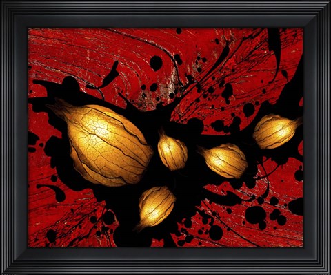 Framed Seeds Print