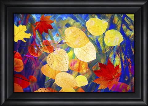 Framed Leaves 225 Print