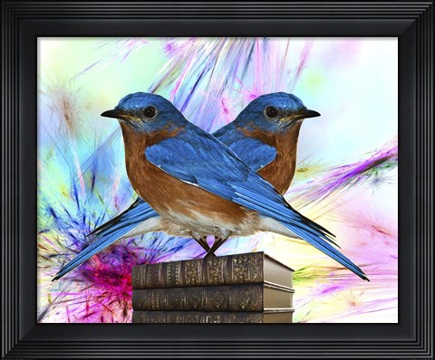 Framed Twin Blue Bird Print