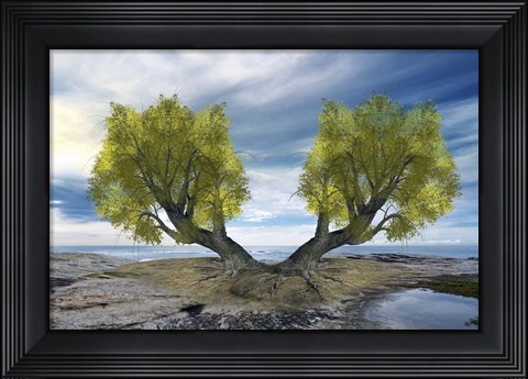 Framed Twin Tree Print