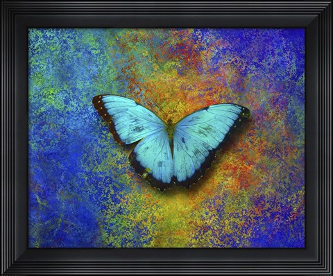 Framed Color and butterfly 1 Print