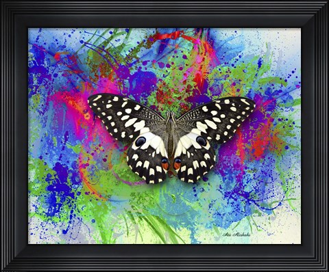Framed Color and Butterfly 2 Print