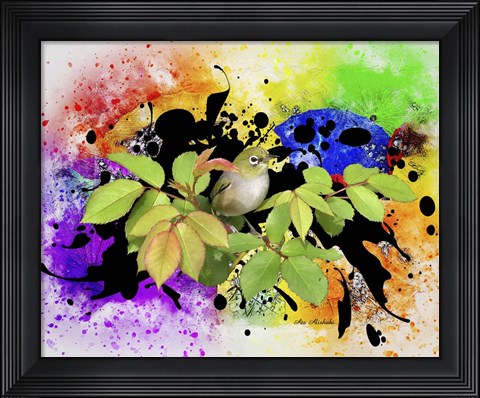 Framed Color Bird Print