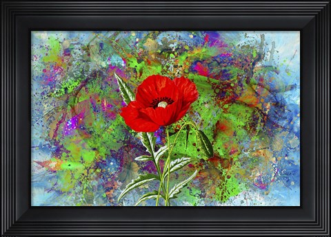 Framed Color Explosion 13 Print