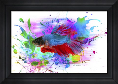 Framed Fish and colors Print