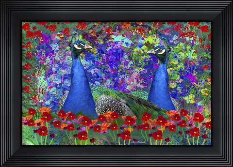 Framed Peacock 1 Print