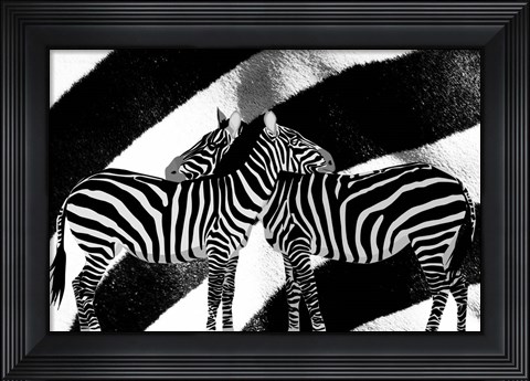 Framed Zebra Print