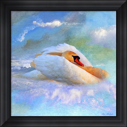 Framed Beautiful Swan 2A Print