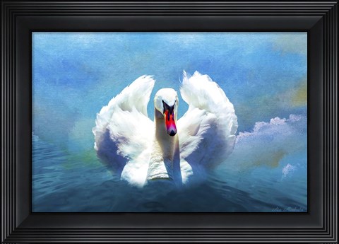 Framed Beautiful Swan Print