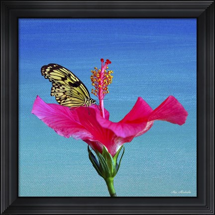 Framed Butterfly And Flower 3X Print