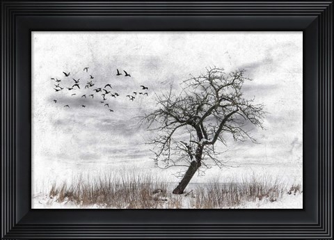 Framed Dead Winter Tree 2 Print