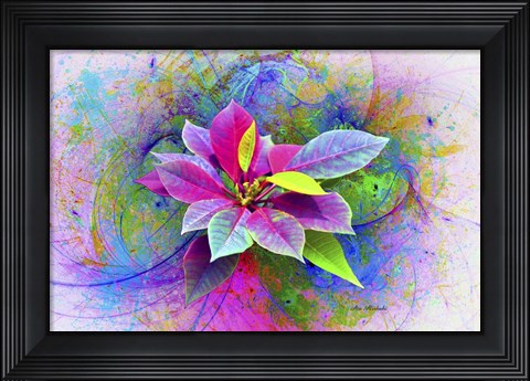 Framed Flower Design 7N Print