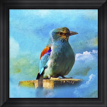Framed Blue Bird 2A Print