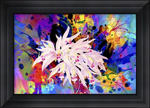 Framed Flower Design 6AB Print