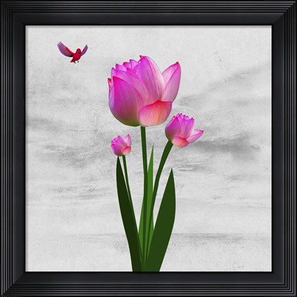 Framed Flower Design 7ABC Print