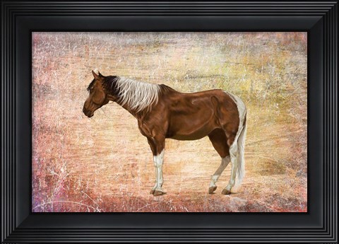 Framed Horse Image Print