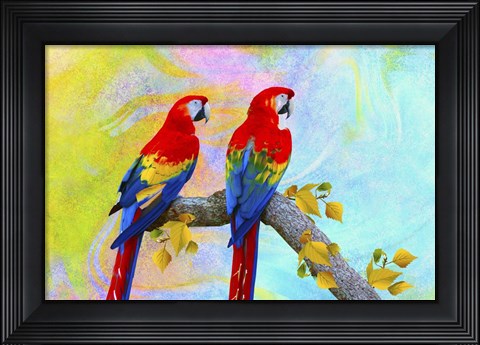 Framed Parrots 87A Print