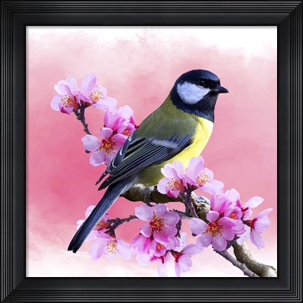 Framed Spring Bird 3A Print