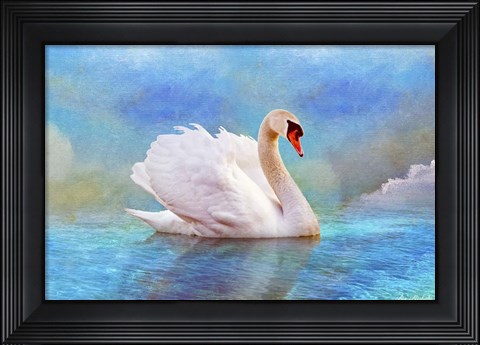 Framed Swab 8B Print