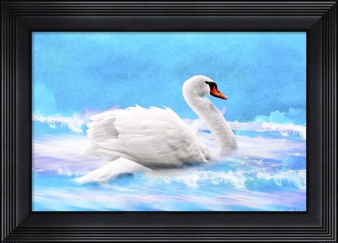Framed Swan 8A Print