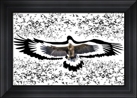 Framed Black Birds 1 Print