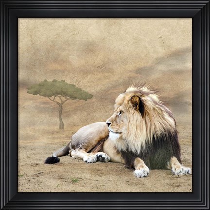Framed King 1A Print