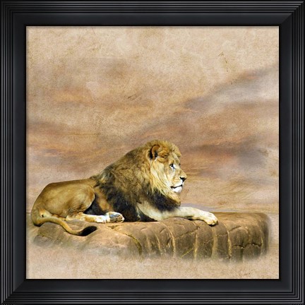 Framed King 1B Print