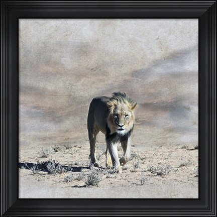Framed King 2A Print