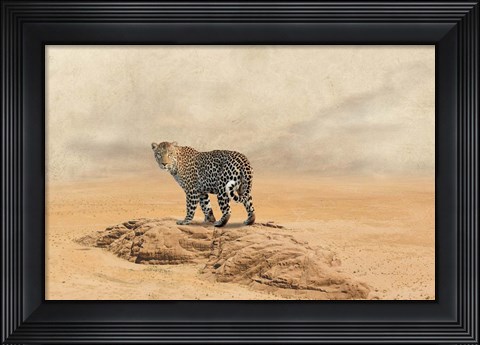 Framed Leopard 2 Print