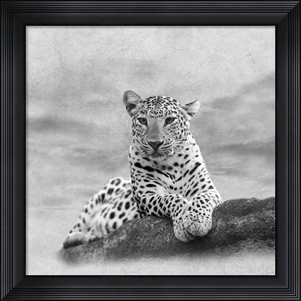 Framed Leopard 2A2 Print