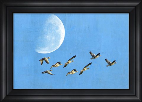 Framed Birds And Big Moon Print