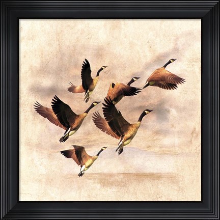 Framed Birds Fly Away 1 Print