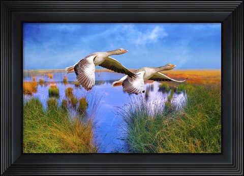 Framed Birds In Nature Print