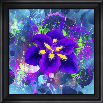 Framed Flower Design 4AX Print