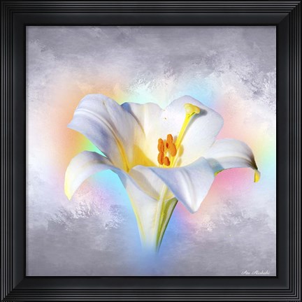 Framed Flower On Colors 1 Print