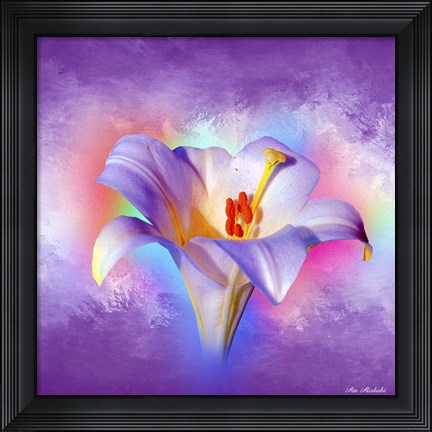 Framed Flower On Colors 2 Print