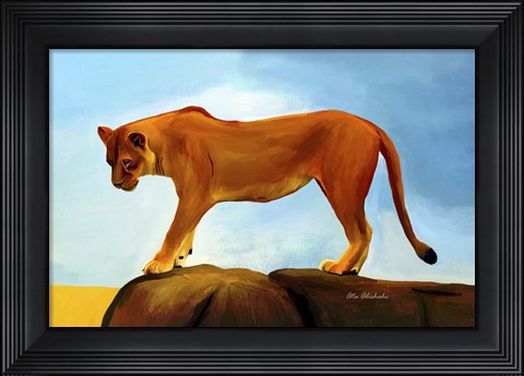 Framed Lioness On A Rock 1 Print