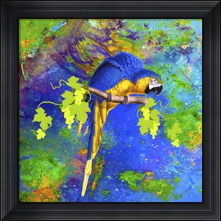 Framed Parrot And Colors Print