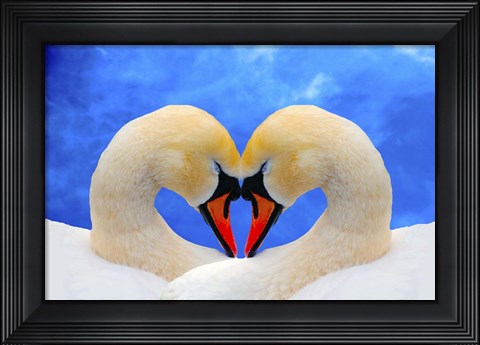 Framed Soul mate Print