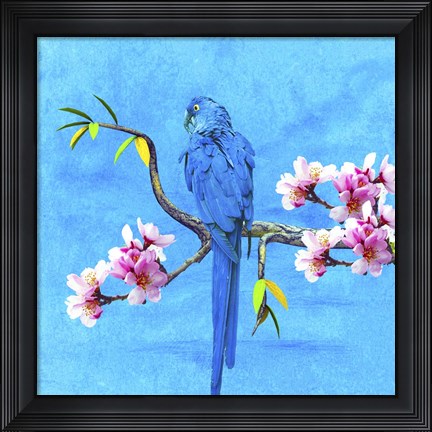 Framed Spring Bird And Flower Print
